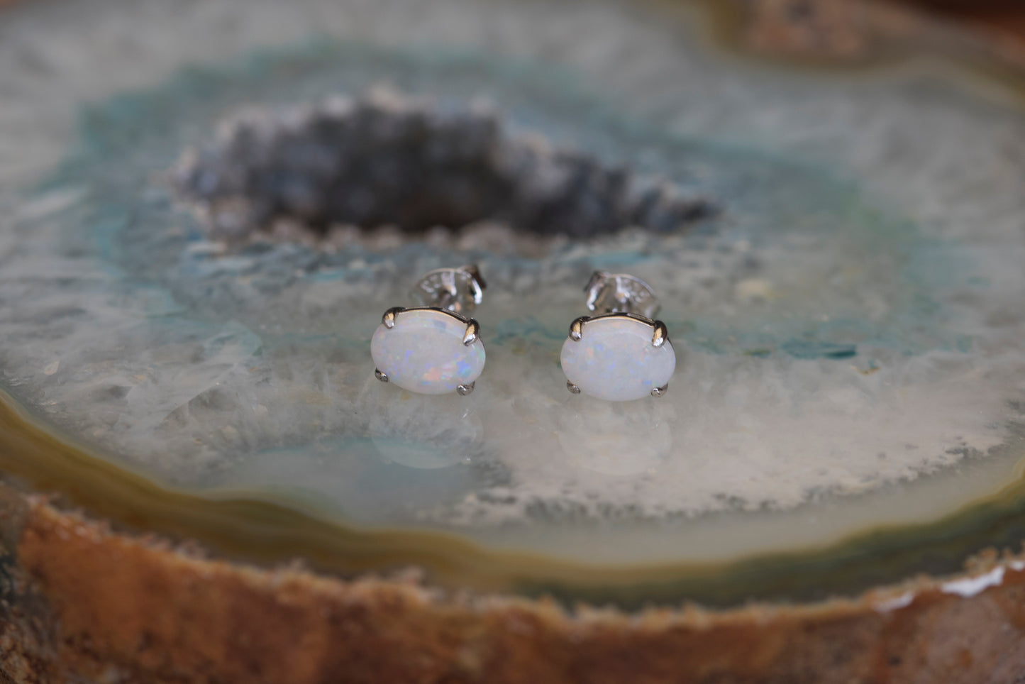 Simple Design Genuine Australian Opal Jewelry - Australian Opal Earrings in Sterling Silver White Gold Plated